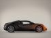 Bugatti Veyron Grand Sport Bernar Venet 2012 Picture #21