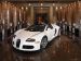 Bugatti Veyron Grand Sport Production Picture #2