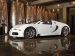 Bugatti Veyron Grand Sport Production Picture #6