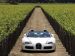 Bugatti Veyron Grand Sport Production Picture #7