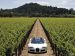 Bugatti Veyron Grand Sport Production Picture #5
