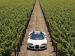 Bugatti Veyron Grand Sport Production Picture #18