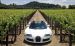 Bugatti Veyron Grand Sport Production Widescreen Picture #23