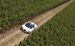 Bugatti Veyron Grand Sport Production Widescreen Picture #17