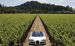 Bugatti Veyron Grand Sport Production Widescreen Picture #10