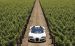 Bugatti Veyron Grand Sport Production Widescreen Picture #14