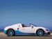 Bugatti Veyron Grand Sport Vitesse Picture #36