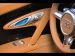 Bugatti Veyron Grand Sport Vitesse Picture #48