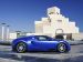 Bugatti Veyron Grant  Sport 2010 Picture #76