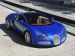 Bugatti Veyron Grant  Sport 2010 Picture #25