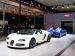 Bugatti Veyron Grant  Sport 2010 Picture #68