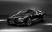 Bugatti Veyron Jean 2013 Widescreen Picture #21