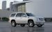 Cadillac Escalade Hybrid 2009 Widescreen Picture #9