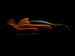 Caparo T1 Picture #9