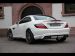 Carlsson Mercedes SLK Class R172 2011 Picture #0