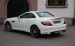 Carlsson Mercedes SLK Class R172 2011 Widescreen Picture #1