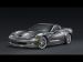 Chevrolet 2009 Corvette ZR1 Picture #52