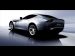 Chevrolet 2009 Perana Z One Picture #0