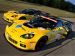 Chevrolet Corvette Racing Next Generation C6R Picture #22