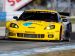 Chevrolet Corvette Racing Sebring Picture #21