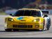 Chevrolet Corvette Racing Sebring Picture #11