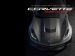 Chevrolet Premiere Edition Convertible 2014 Picture #19