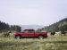 Chevrolet Silverado 2014 Picture #8