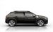 Citroen C4 Cactus Rip Curl 2017 Widescreen Picture #33