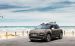 Citroen C4 Cactus Rip Curl 2017 Widescreen Picture #20