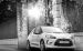 Citroen DS3 2015 Widescreen Picture #12