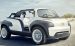 Citroen Lacoste Concept 2010 Widescreen Picture #1