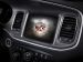 Dodge Charger 100th Anniversary Edition 2014 Picture #28