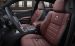 Dodge Charger 100th Anniversary Edition 2014 Widescreen Picture #0