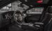 Dodge Charger Pursuit 2015 Widescreen Picture #8