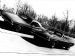 Dodge Forty Years of a Muscle car Legend Picture #38