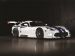 Dodge GT3 R 2013 Picture #3