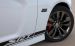Dodge SRT8 392 2013 Widescreen Picture #10