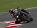 Ducati 848 Evo 2011 Picture #3