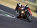 Ducati Monster 1100 Picture #25