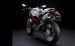 Ducati Monster 1100 Widescreen Picture #19