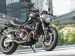 Ducati Monster 821 2014 Picture #0