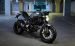 Ducati Monster Diesel 2012 Widescreen Picture #15