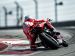 Ducati Panigale R 2013 Picture #124