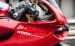 Ducati Panigale R 2013 Widescreen Picture #69