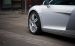 Edo Audi R8 2008 Widescreen Picture #7
