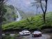 Ferrari Magic India Picture #39