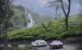 Ferrari Magic India Widescreen Picture #26