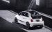 Fiat 500 Abarth 2014 Widescreen Picture #25
