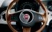 Fiat Fiat 500 Widescreen Picture #170