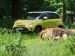 Fiat Trekking 2014 Picture #9